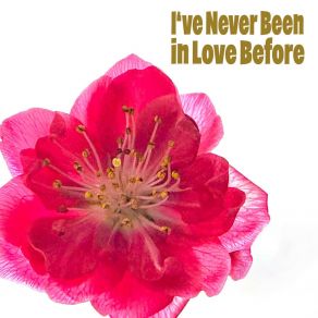 I've Never Been In Love Before album cover