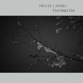 Fiordaprile album cover