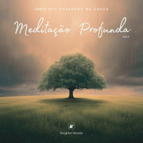 Meditação Profunda Vol. II - Canto Dos Pássaros Na Chuva album cover