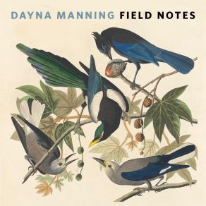 Field Notes album cover