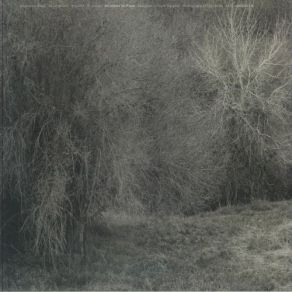 Atrophies For Piano album cover
