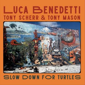Slow Down For Turtles album cover