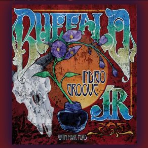 Indigo Groove album cover
