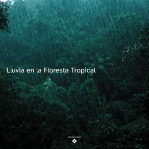 Lluvia En La Floresta Tropical album cover