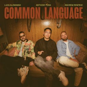 Common Language album cover