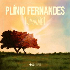 Dawn: Pride & Prejudice For Solo Guitar (From “Pride & Prejudice”) album cover