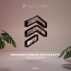 Call Groove album cover