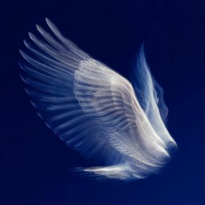 The World Is Quiet album cover