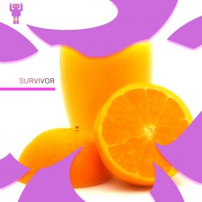 Survivor album cover
