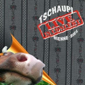 Live In Concert (Live) album cover