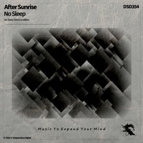 No Sle album cover