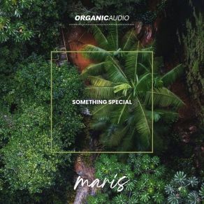 Something Special album cover