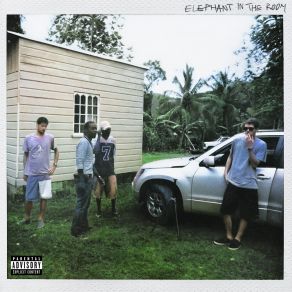 Elephant In The Room album cover
