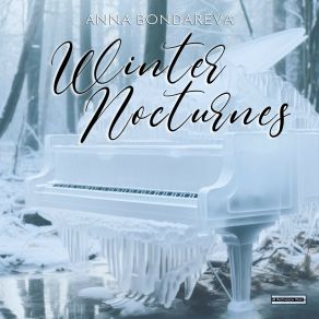 Winter Nocturnes album cover