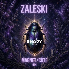 Magnet / Cute album cover