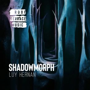 Shadowmorph album cover