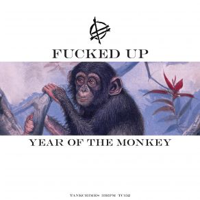Year Of The Monkey album cover