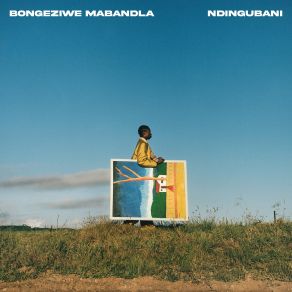 Ndingubani album cover