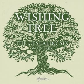 Wishing Tree album cover