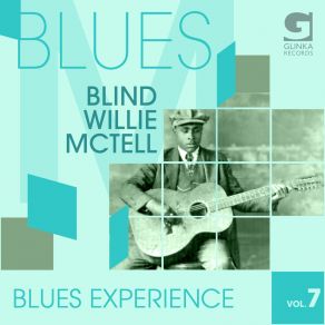 Blues Experience Vol. 7 album cover
