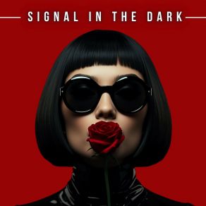 Signal In The Dark album cover