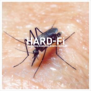 Sweating Someone Else's Fever album cover