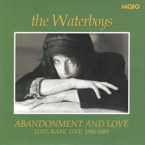 Abandonment And Love (Lost. Rare. Live. 1989) album cover
