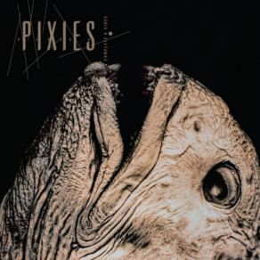 Complete B Sides: 1988-97 (Remaster) (CD2) album cover