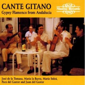 Cante Gitano - Gypsy Flamenco Recorded Live In Andalucia album cover