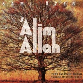 Alim Allah album cover