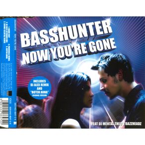 Now You'Re Gone (Maxi Single) album cover