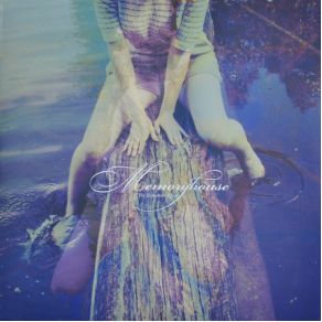 The Slideshow Effect album cover