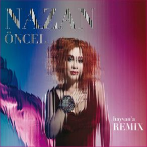 Hayvan'A Remix CD2 album cover
