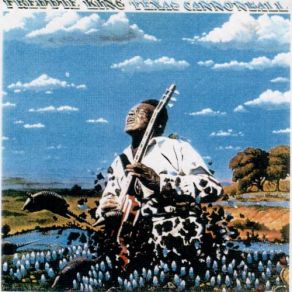 The Texas Cannonball album cover