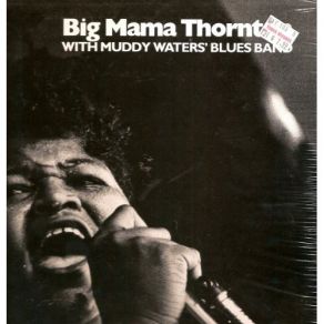 With Muddy Water'S Blues Band album cover