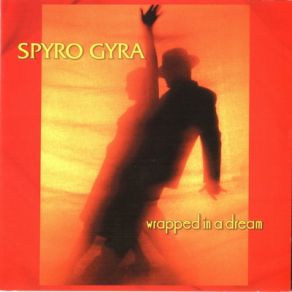 Wrapped In A Dream album cover
