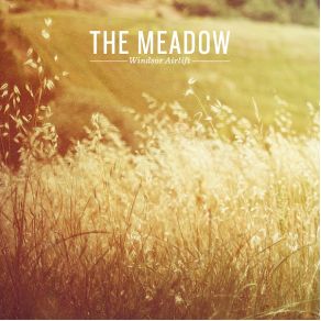 The Meadow album cover