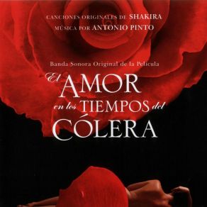 El Amor En Los Tiempos Del Cholera album cover