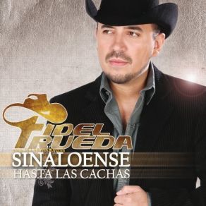 Sinaloense Hasta Las Cachas album cover