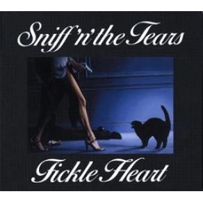 Fickle Heart album cover