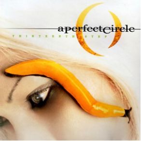 Thirteenth Step album cover