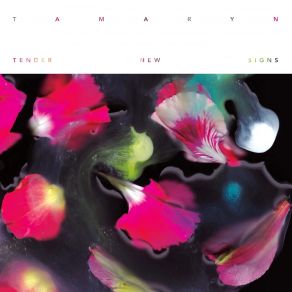 Tender New Signs album cover