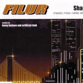 Shame album cover