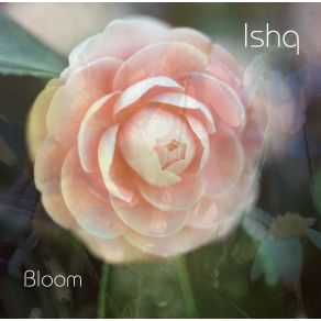 Bloom album cover