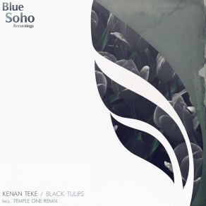 Black Tulips album cover