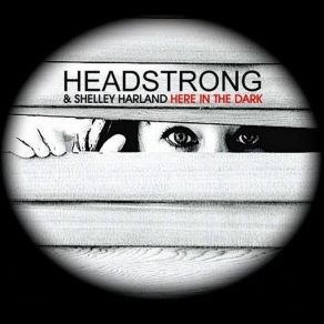 Here In The Dark album cover