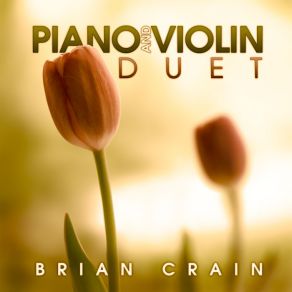 Piano And Violin Duet album cover