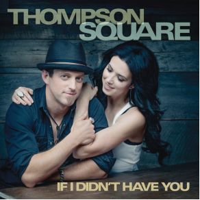 If I Didn'T Have You - Single album cover