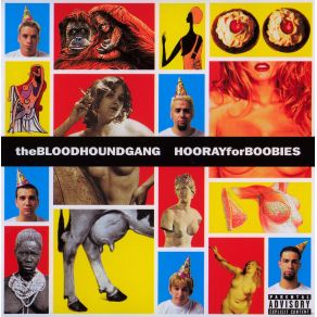 Hooray For Boobies album cover