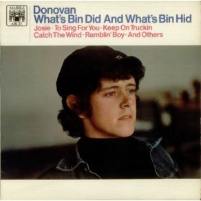 What'S Bin Did And What'S Bin Hid album cover